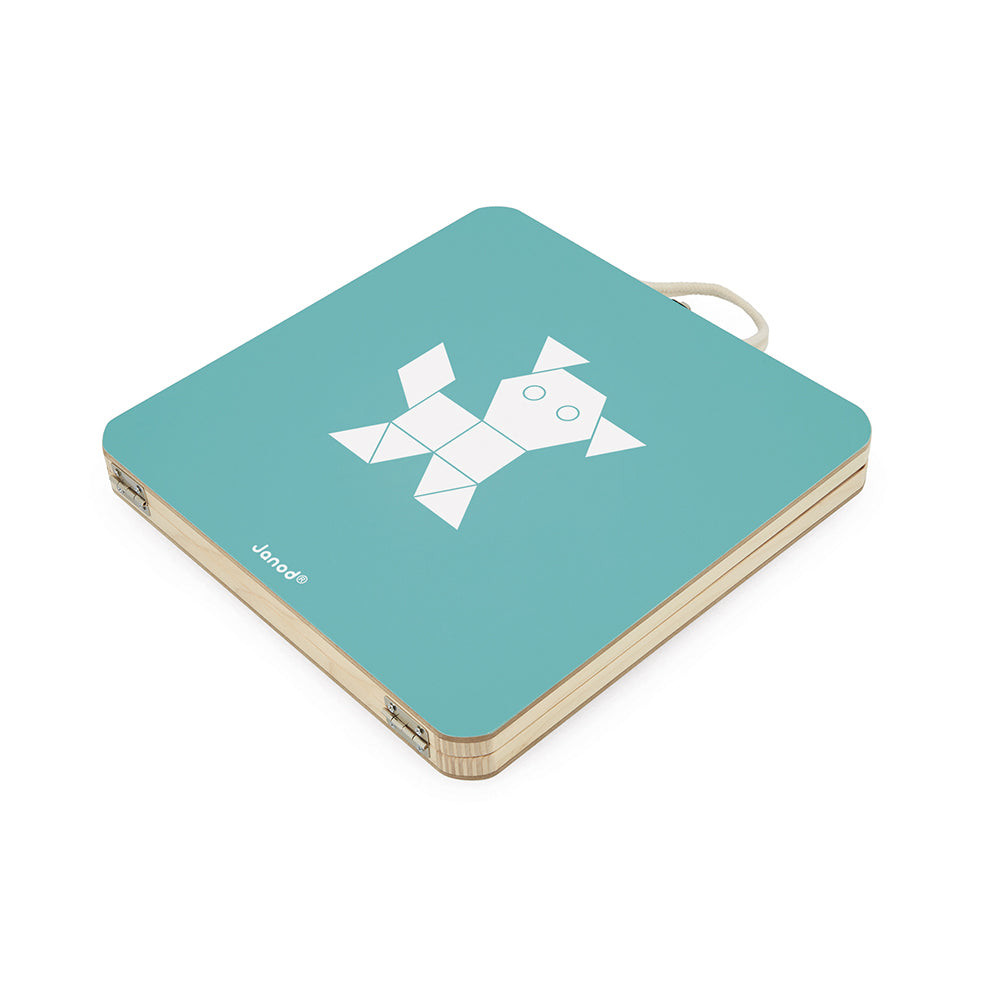 Janod Magnetic Geometric Puzzle