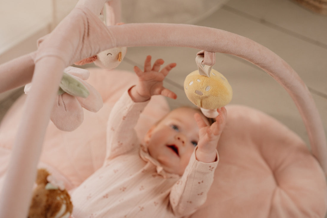 Activity Play Gym - Fairy Garden