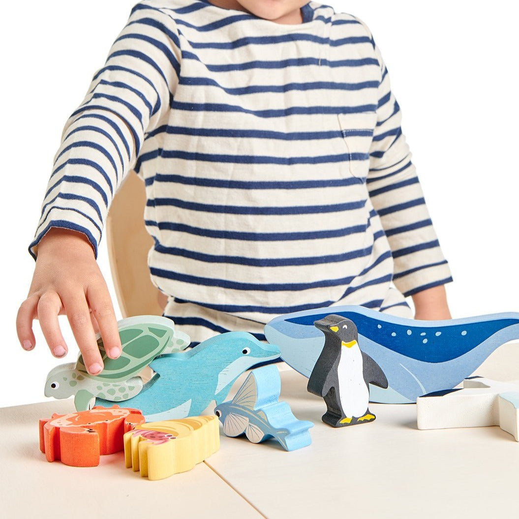 Coastal Animals - Penguin