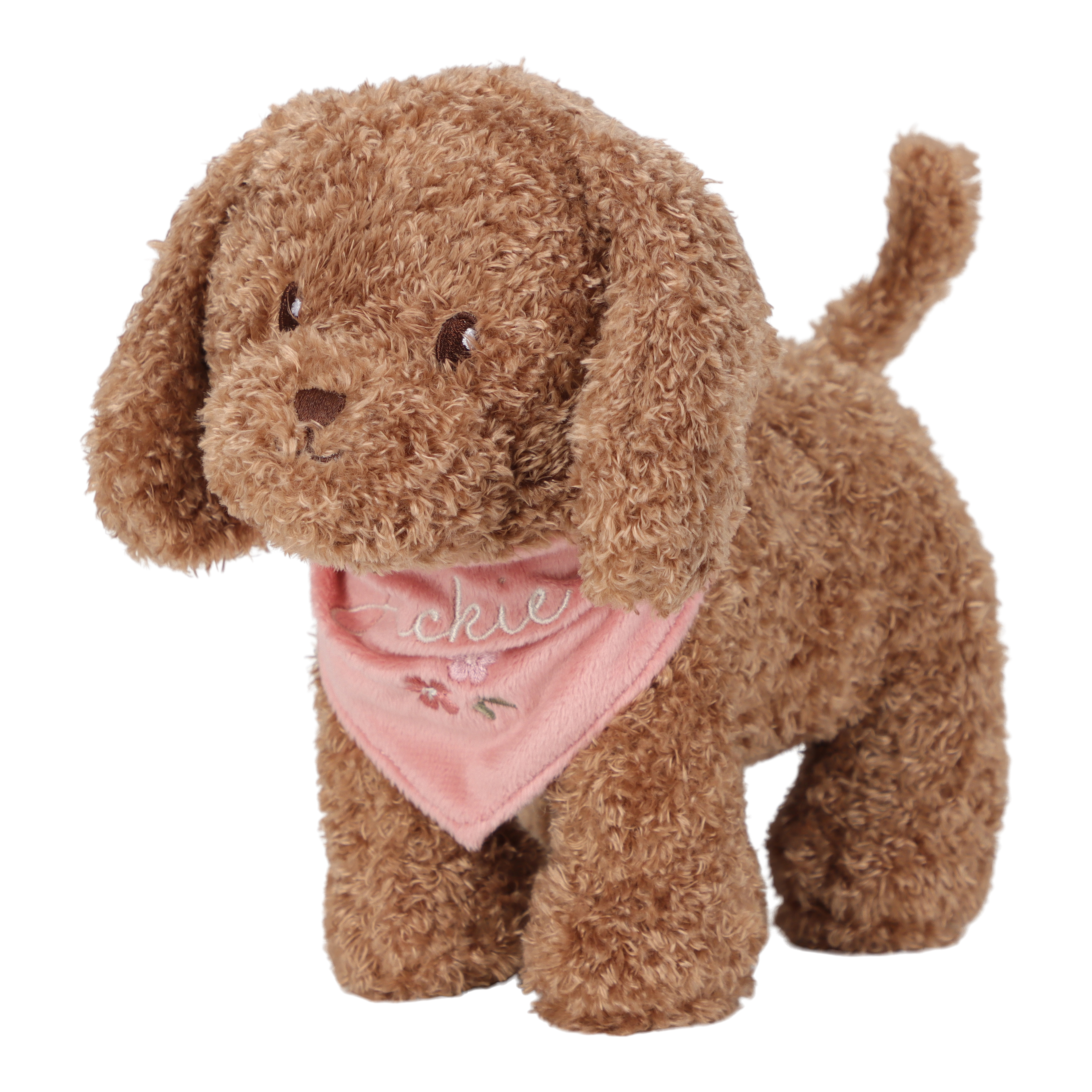 Little Dutch Jackie the Dog