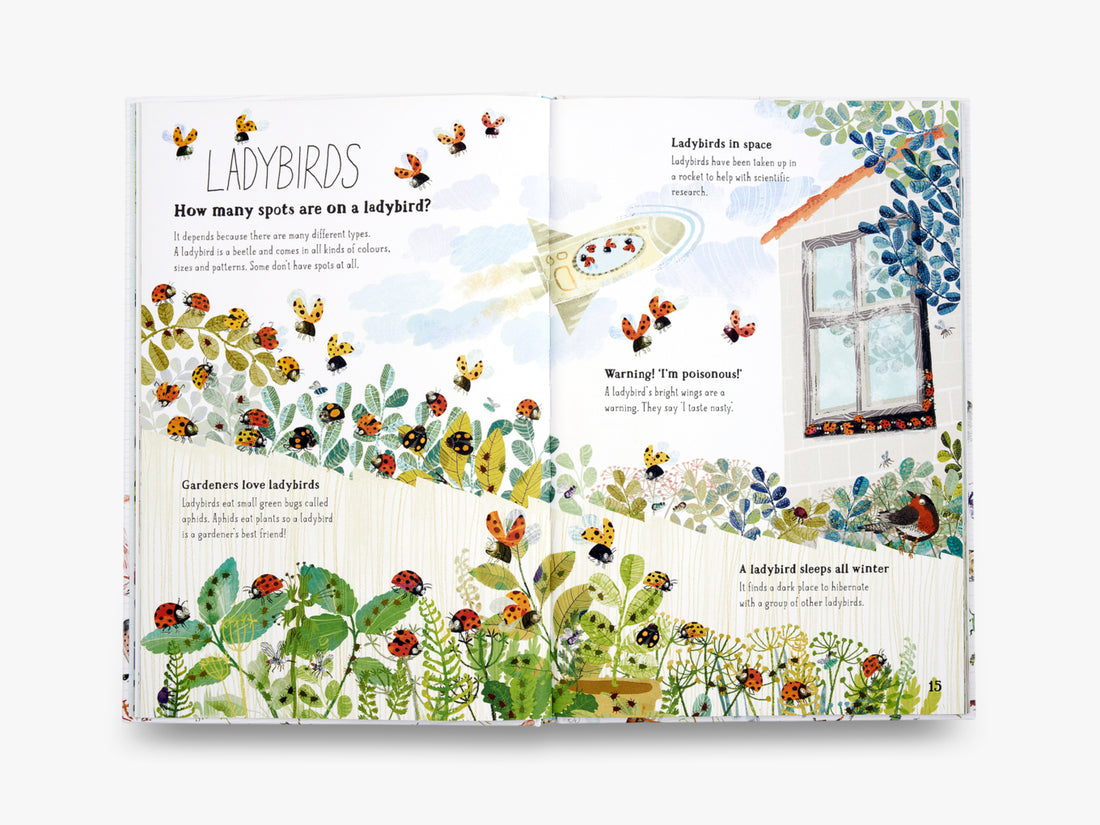 The Big Book of Bugs