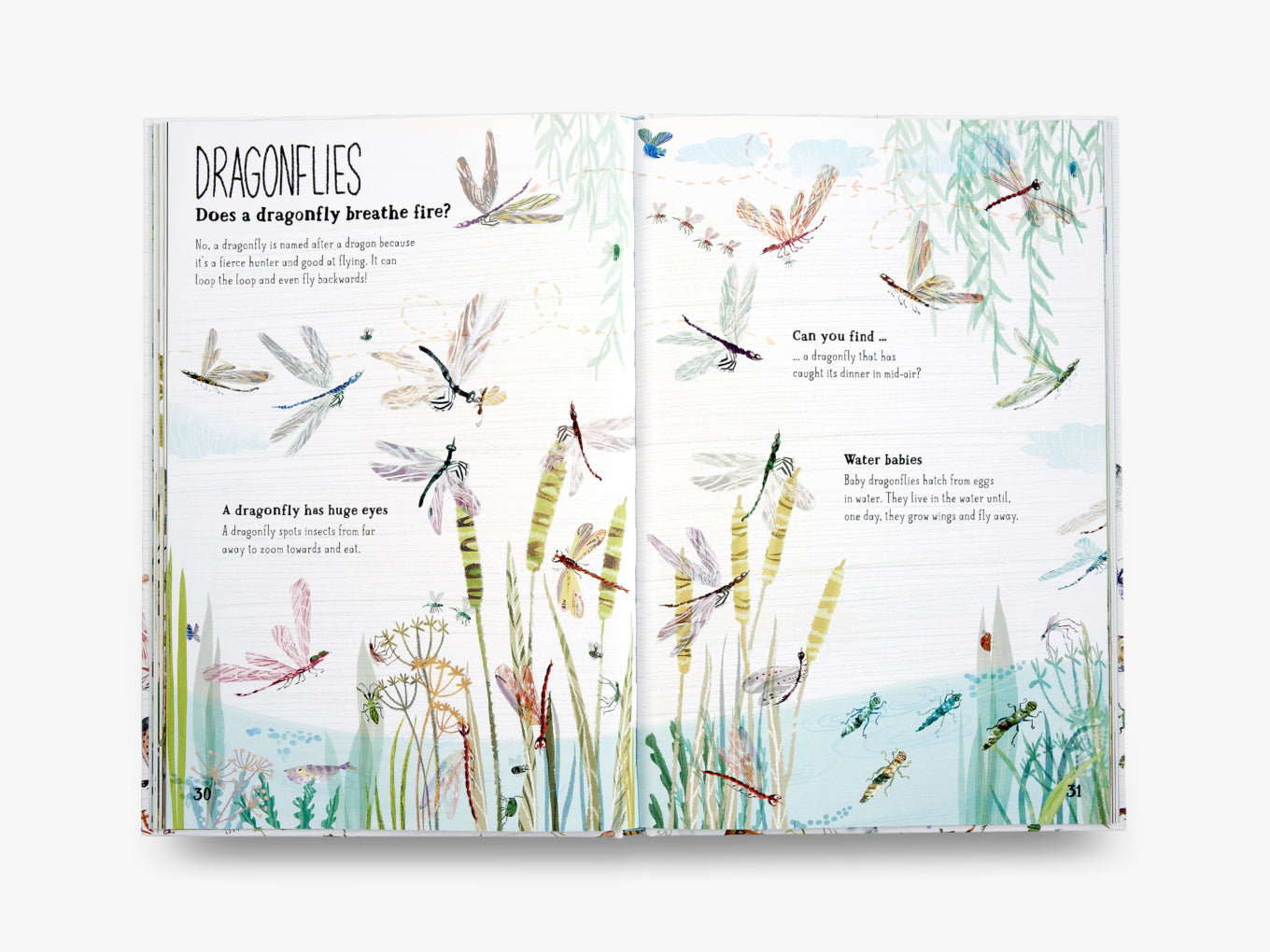 The Big Book of Bugs