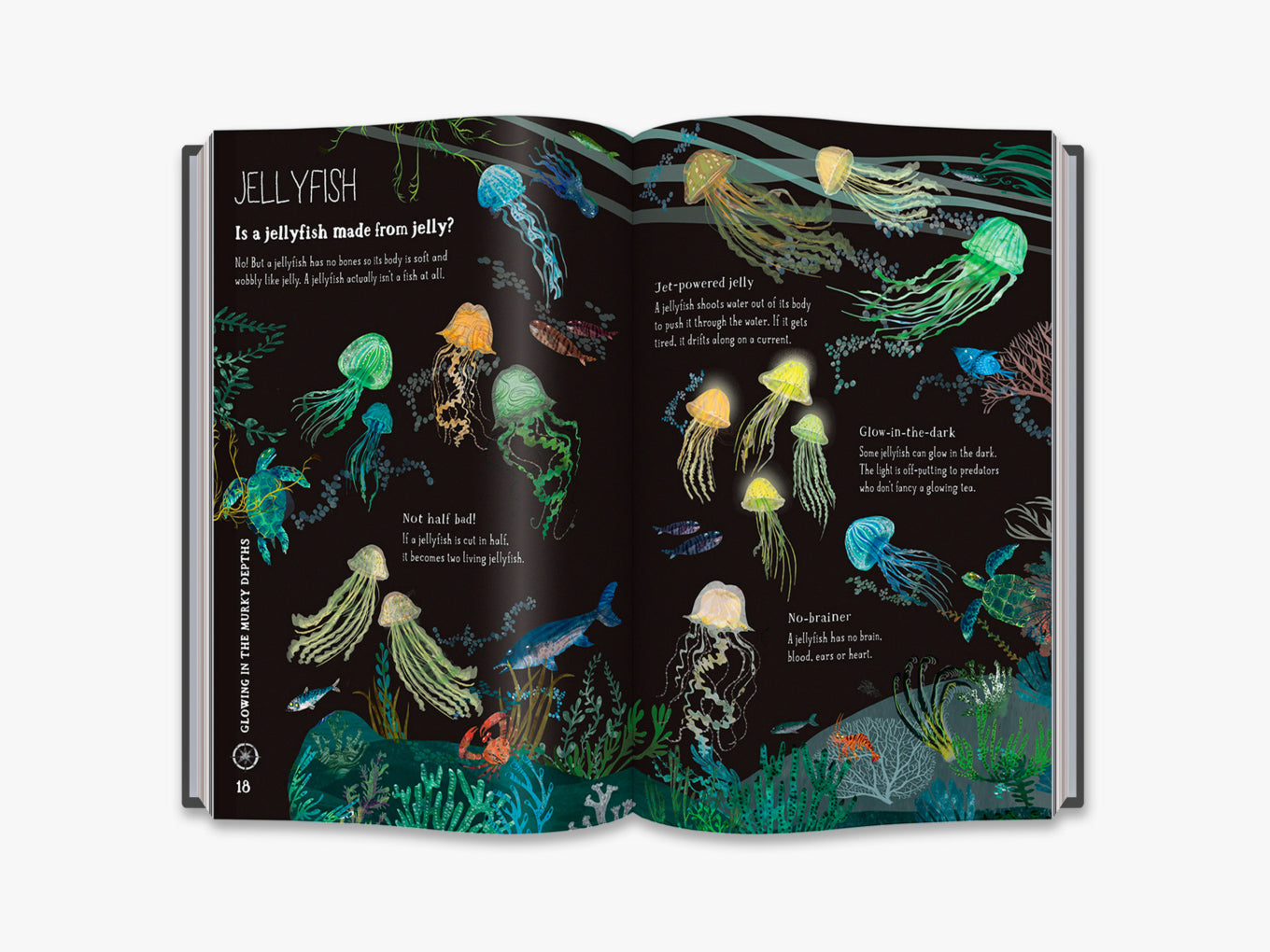 The Big Book of Blue (4-7y)