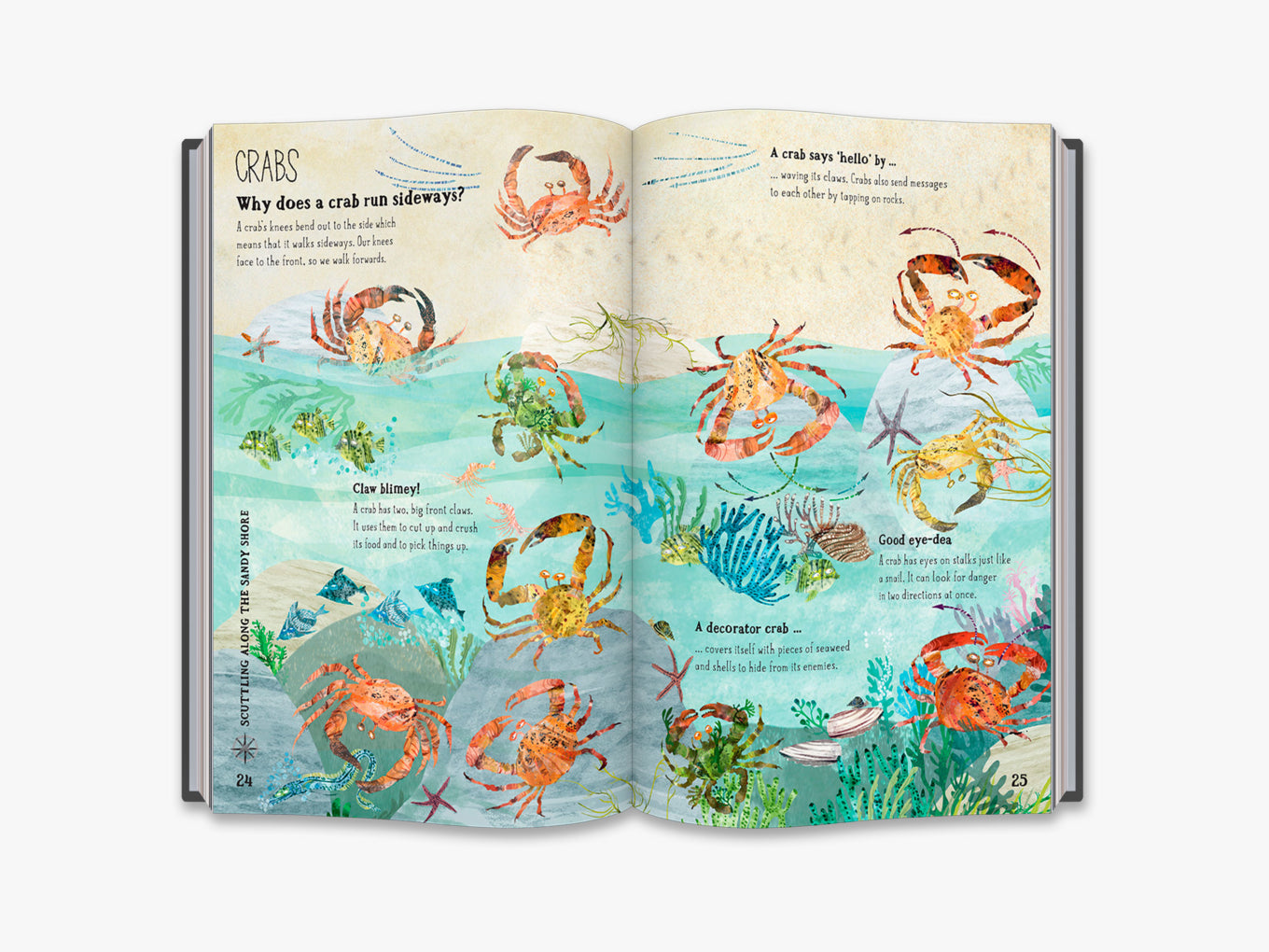 The Big Book of Blue (4-7y)