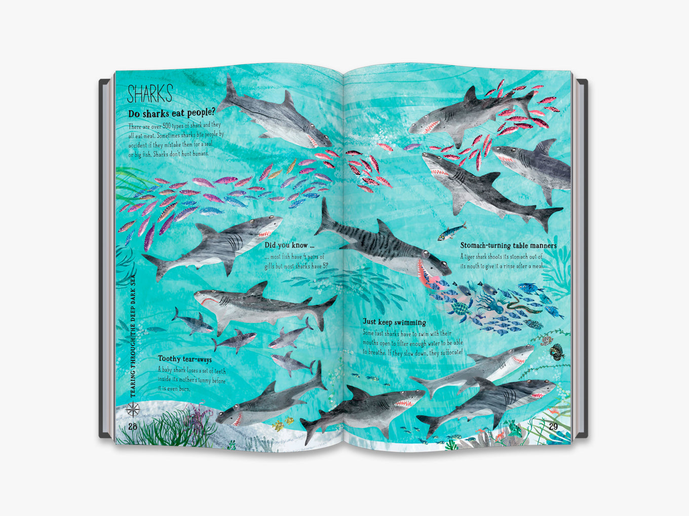 The Big Book of Blue (4-7y)