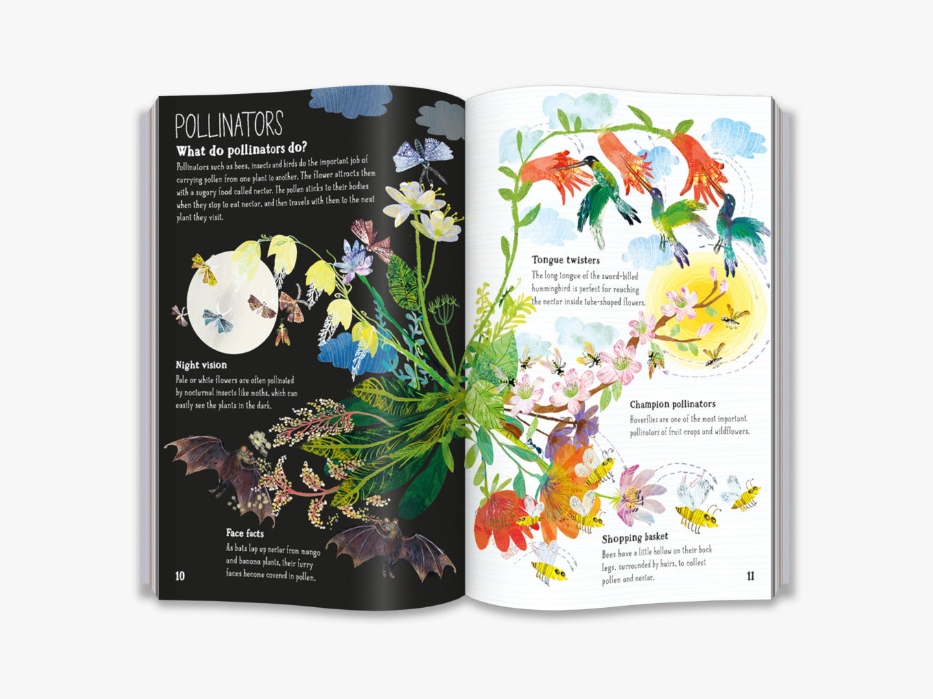 The Big Book of Blooms (4-7 y)