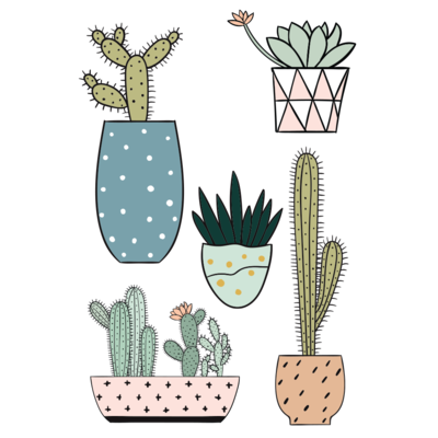 TATTYOO - Trendy Cacti