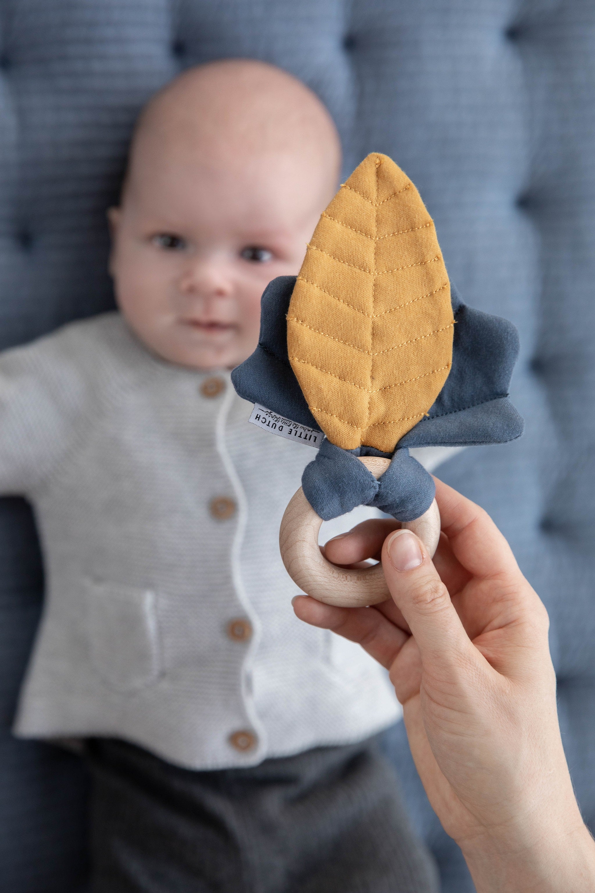 Crinkle Toy Leaves - Blue