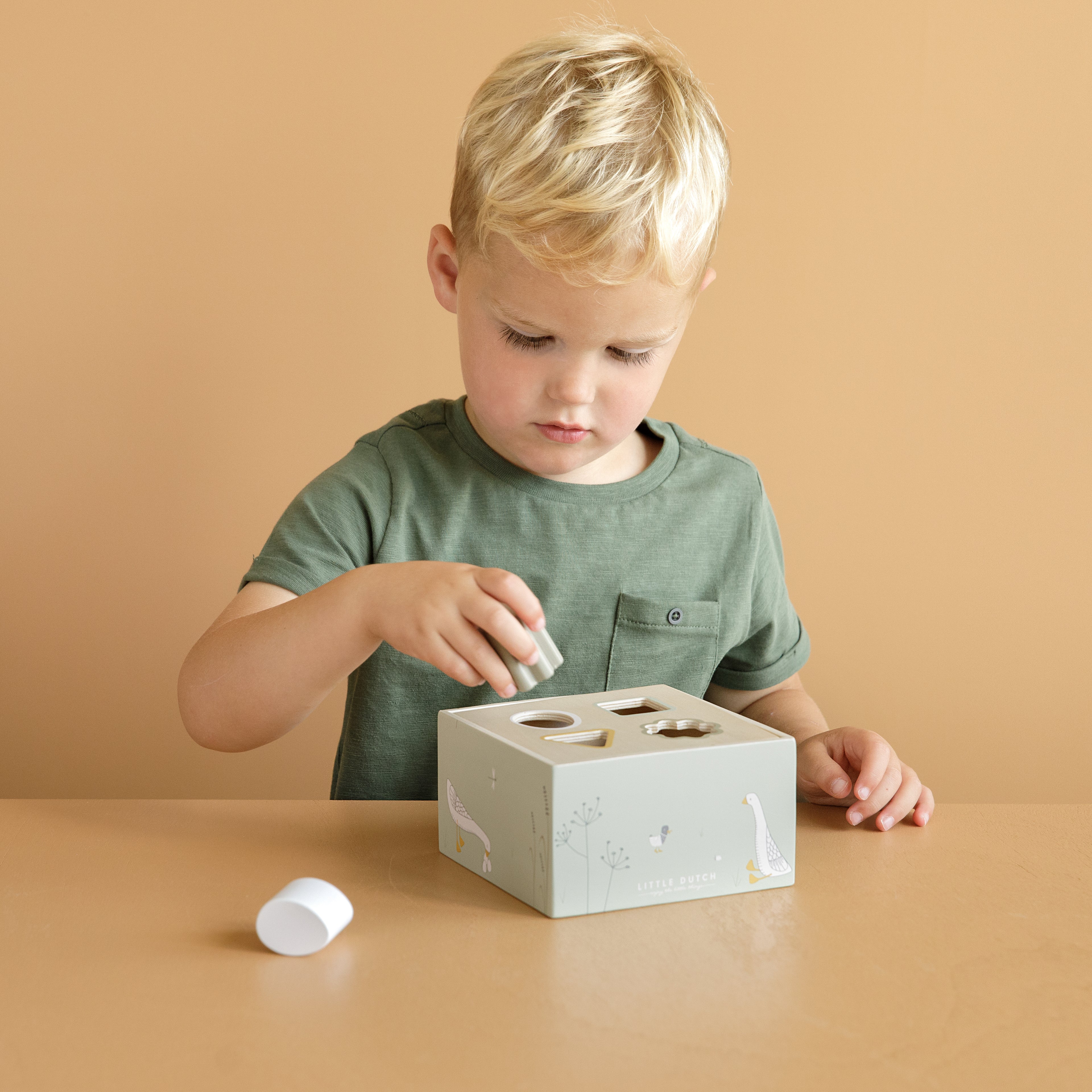 Wooden Shape Sorter - Little Goose