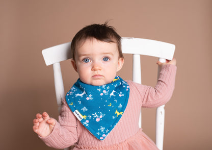 Baby Bibs Mystery Bundle- 4 Bibs (Girl)