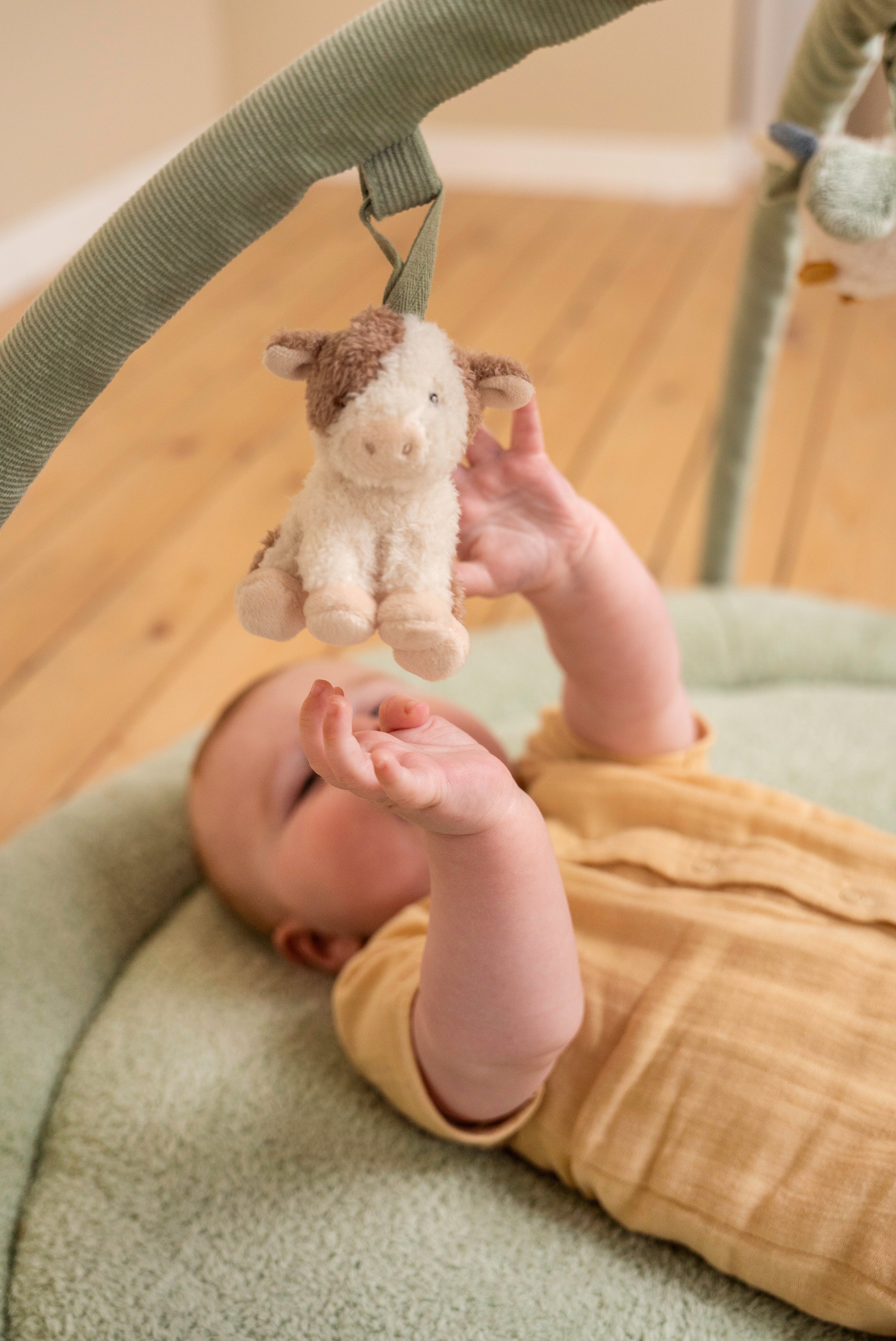 Activity Play Gym - Little Farm