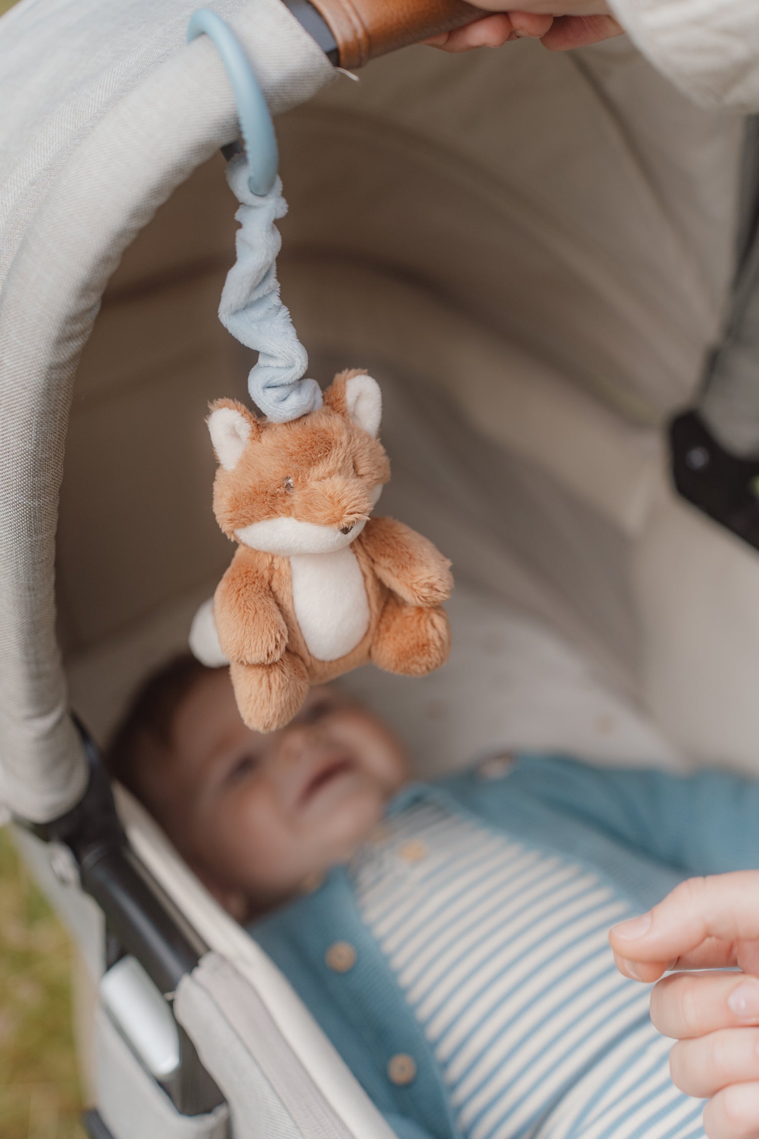 Little Dutch Pull and Shake Fox