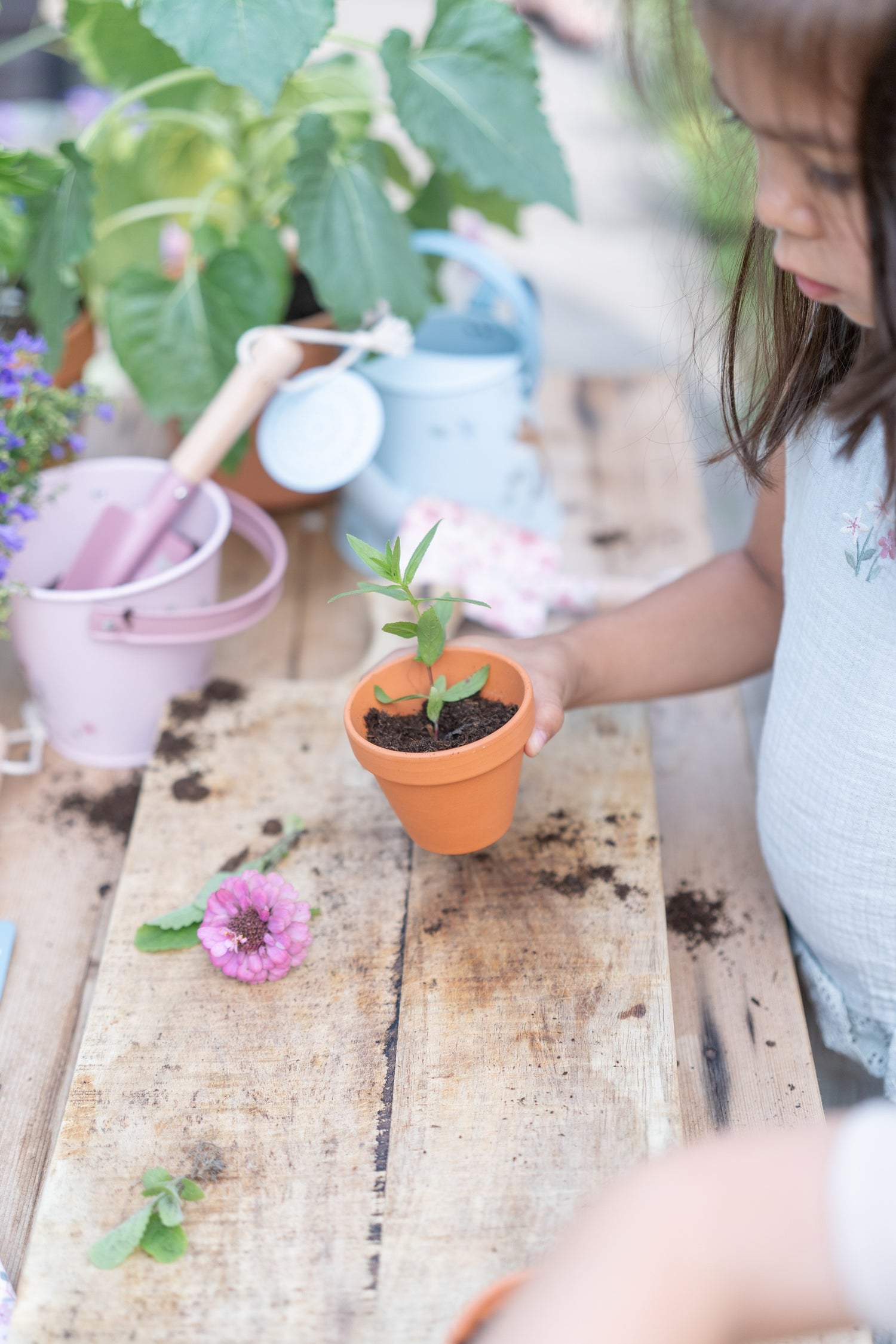 Little Dutch Bucket - Fairy Garden