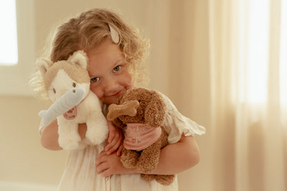 Little Dutch Jackie the Dog