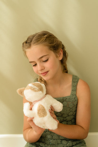 Little Dutch Marley the Cat