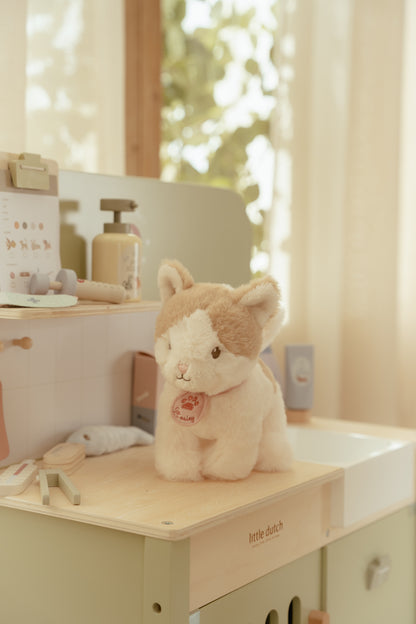 Little Dutch Marley the Cat