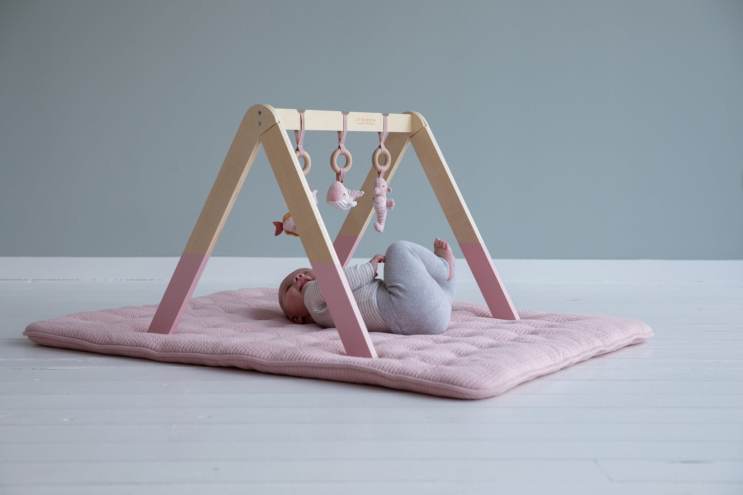 Wooden Play Gym - Pink