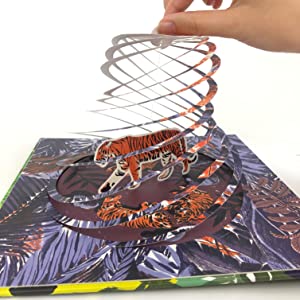 Whose Habitat is That? (Pop up Book) 4-8y